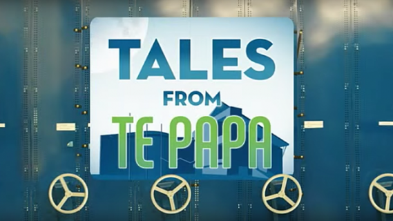 Tales from Te Papa image with silhouette of Te Papa in the background