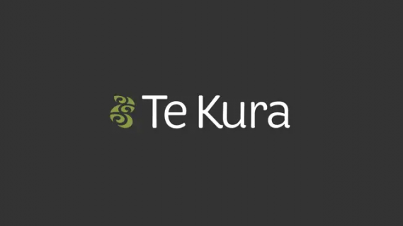 Te Kura logo with koru design