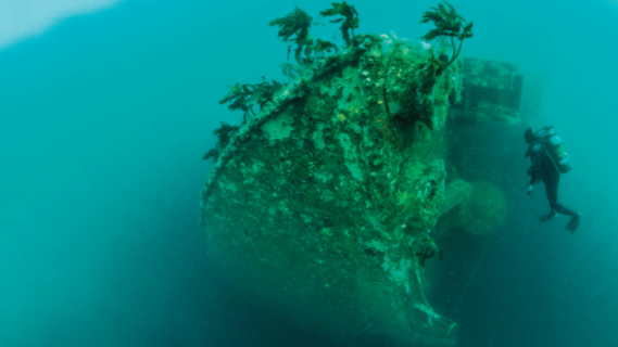 A diver exploring an under-sea wreck that looks to have been there some time as it has plants growing on it. 
